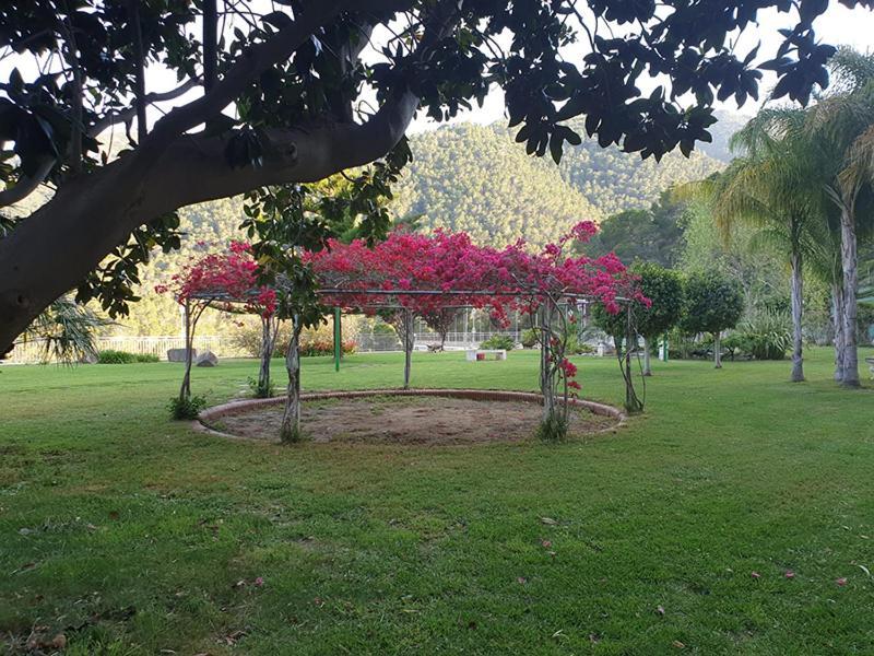 Villa Montgrau Llano de Gorra Екстериор снимка